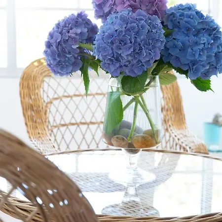 Leal - La Sirena فيلانويفا دي أروسا