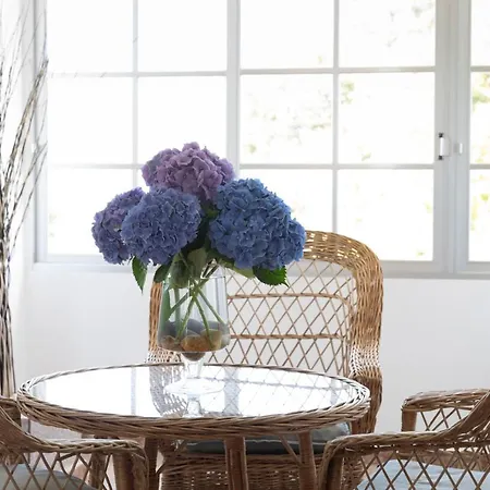 فندق Leal - La Sirena *