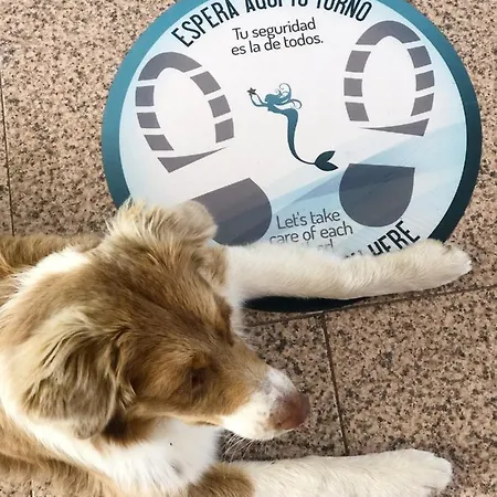 فندق Leal - La Sirena فيلانويفا دي أروسا