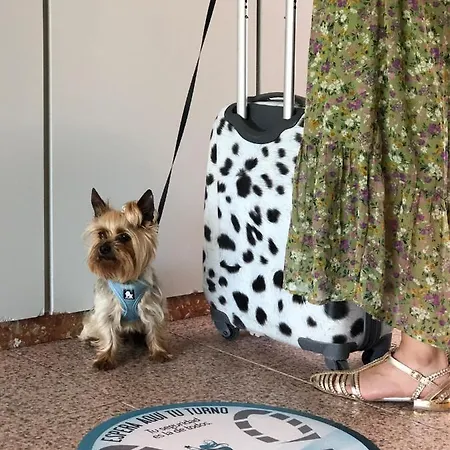 Leal - La Sirena 酒店