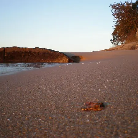 Leal - La Sirena * فيلانويفا دي أروسا