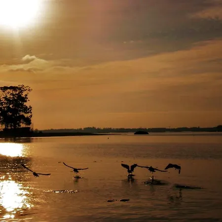 Leal - La Sirena فندق