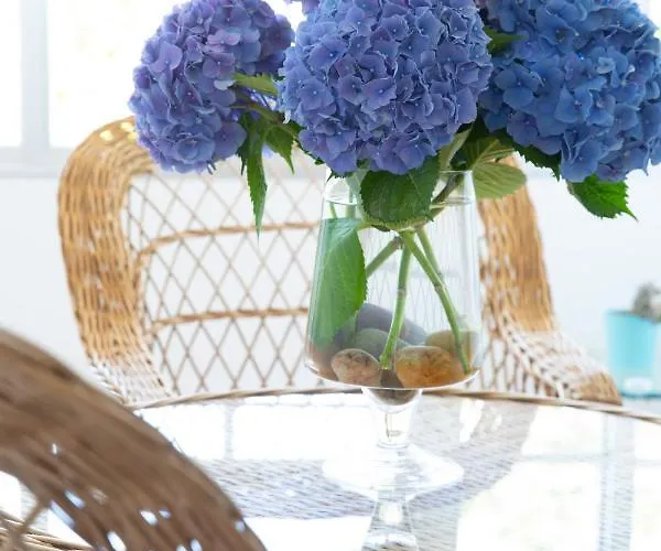 Leal - La Sirena Villanueva de Arosa