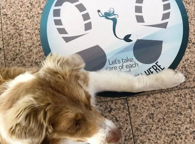 Szálloda Leal - La Sirena Villanueva de Arosa