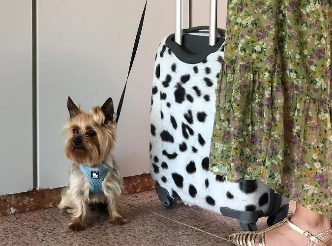 Leal - La Sirena Szálloda