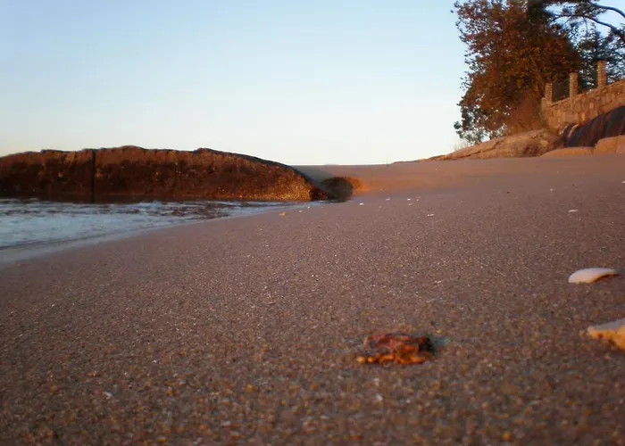 Leal - La Sirena * Villanueva de Arosa